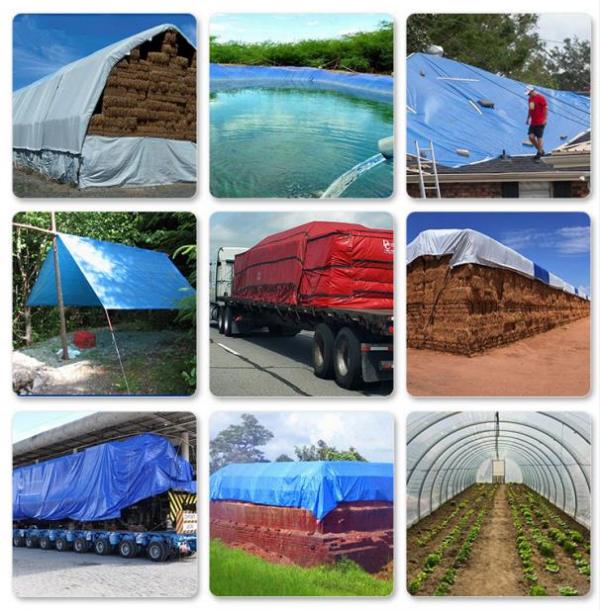 篷布：守護(hù)您的世界，從細(xì)節(jié)開(kāi)始